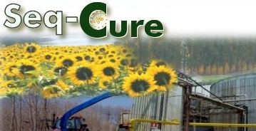 Progetto Seq-Cure: come utilizzare i residui organici nella coltivazione di biomasse